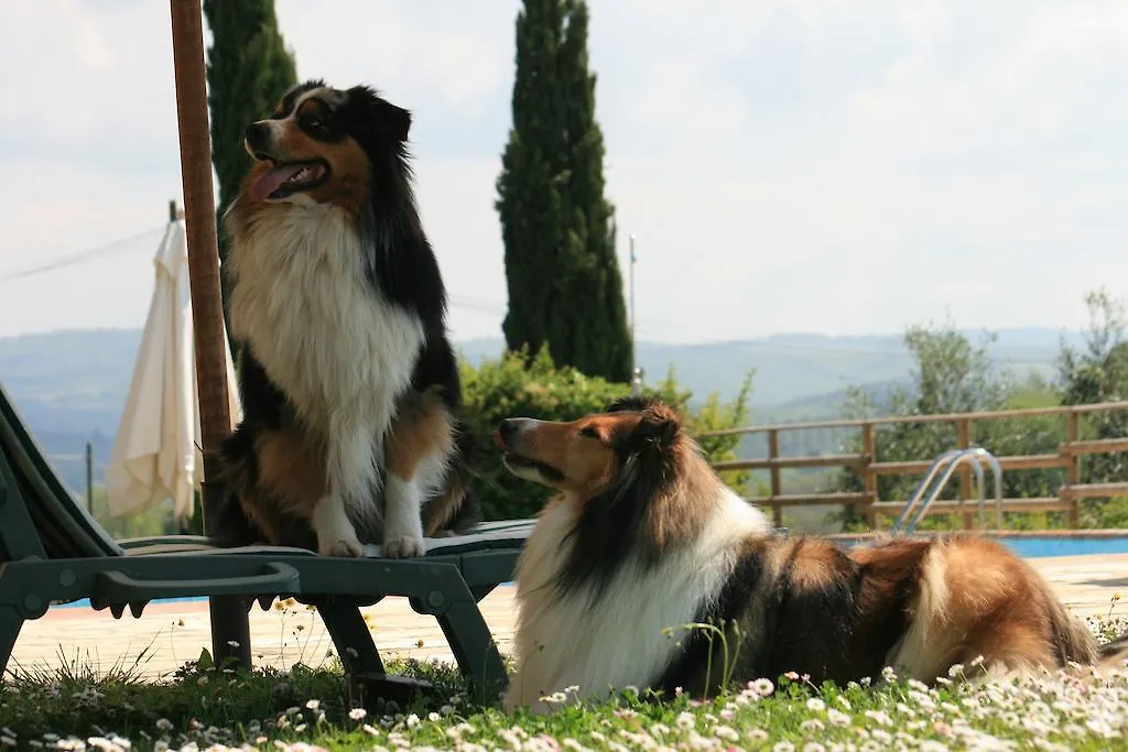 Agriturismo Il Torrione Lecchi 0*,  Italië